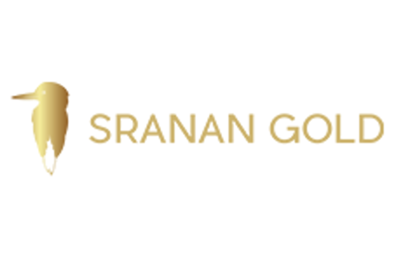 Sranan Gold Intersects 64 Metres Grading 3.0 g/t Including 33.5 g/t over 5 Metres at the Randy’s Pit Target at Tapanahony Project, Suriname, as First Holes Intersect a Significant Gold System